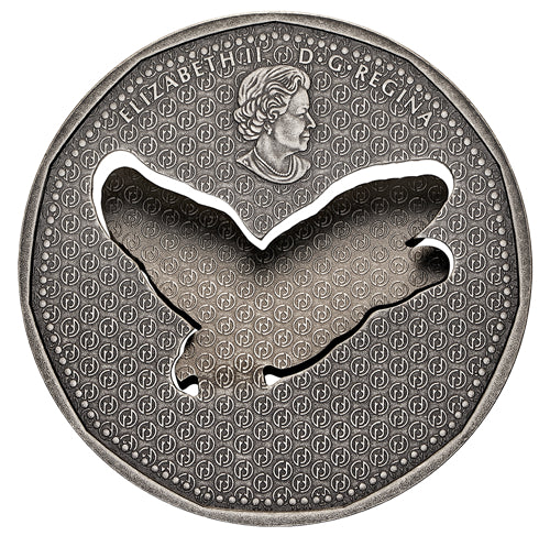 2020 $1 Flying Loon - Pure Silver Coin