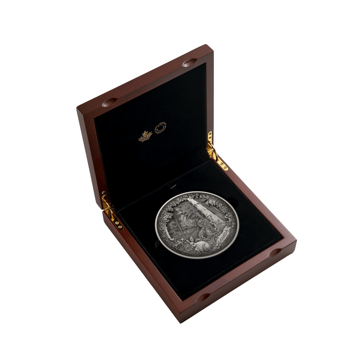 2025 $175 Predator or Prey In Shadow Box - Pure Silver Coin