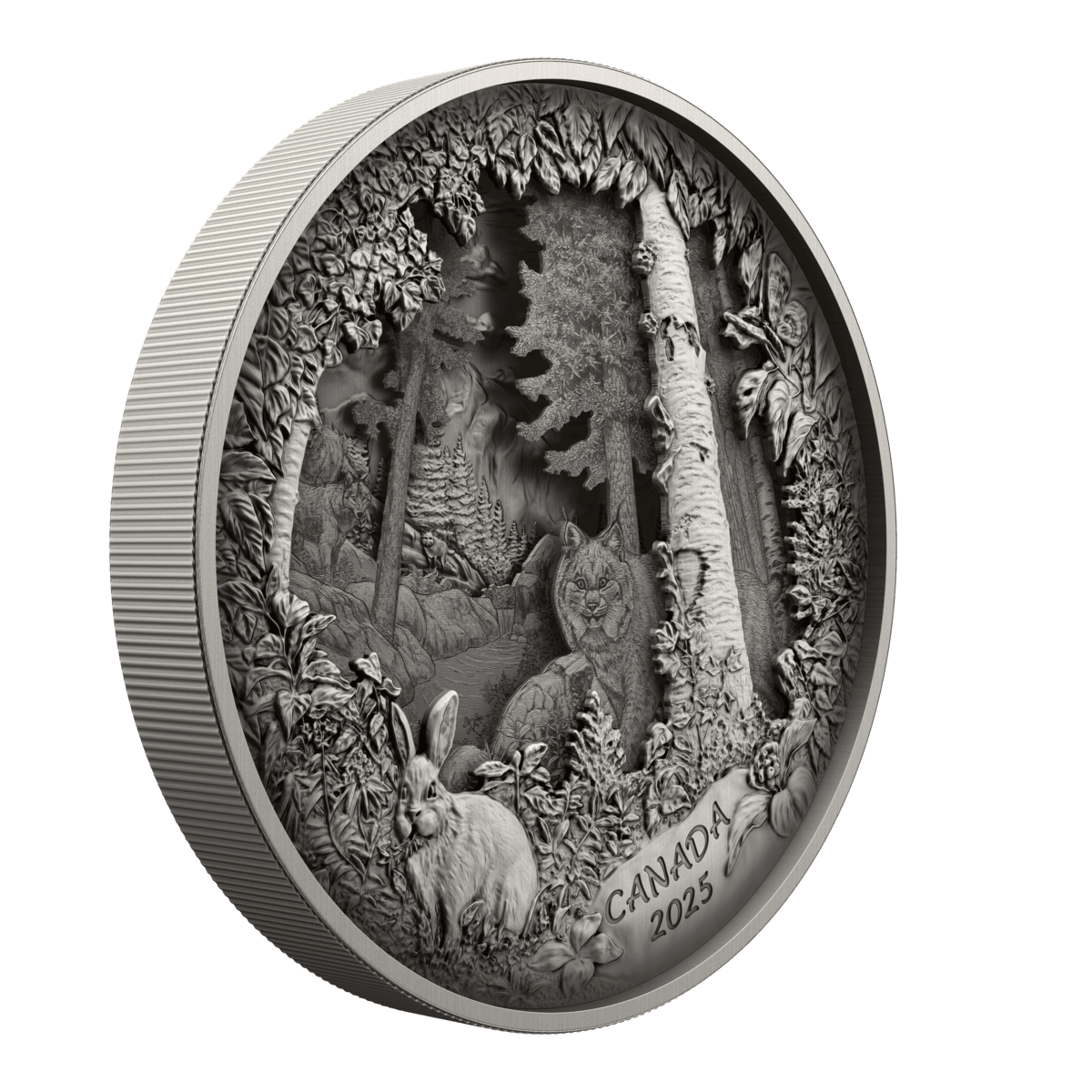 2025 $175 Predator or Prey In Shadow Box - Pure Silver Coin