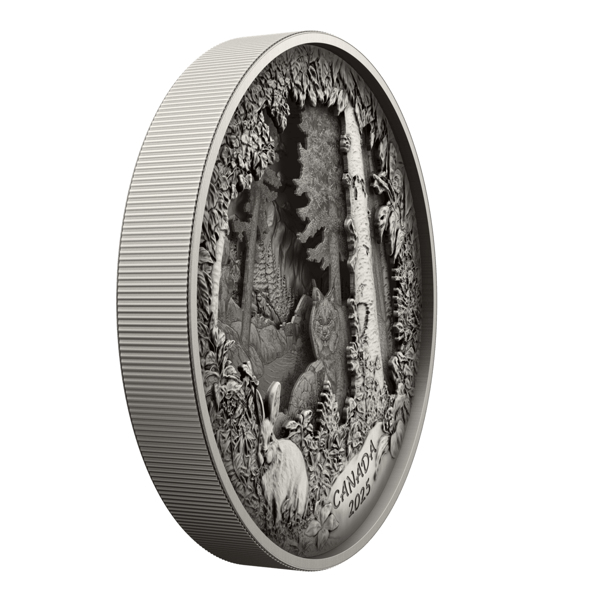 2025 $175 Predator or Prey In Shadow Box - Pure Silver Coin