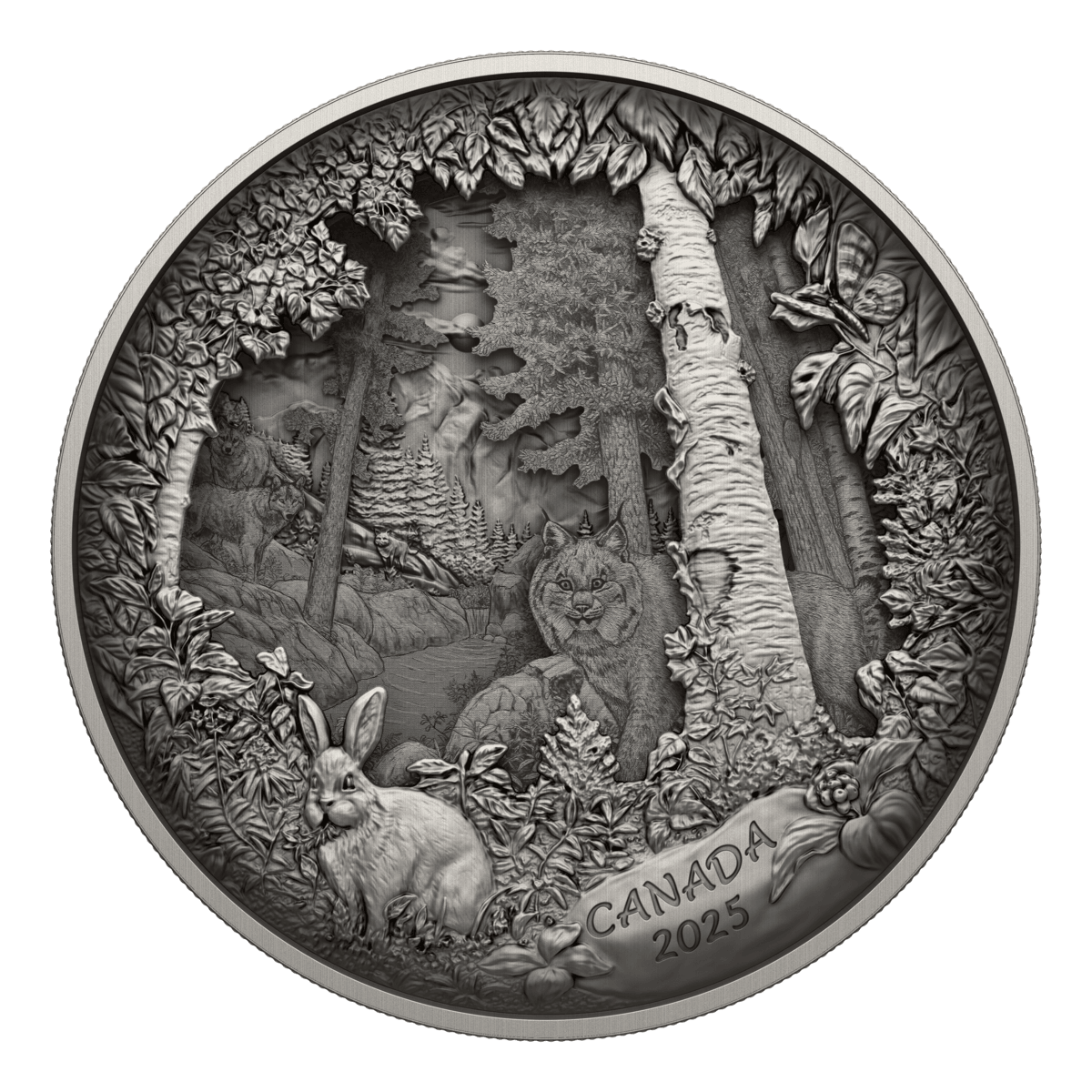 2025 $175 Predator or Prey In Shadow Box - Pure Silver Coin