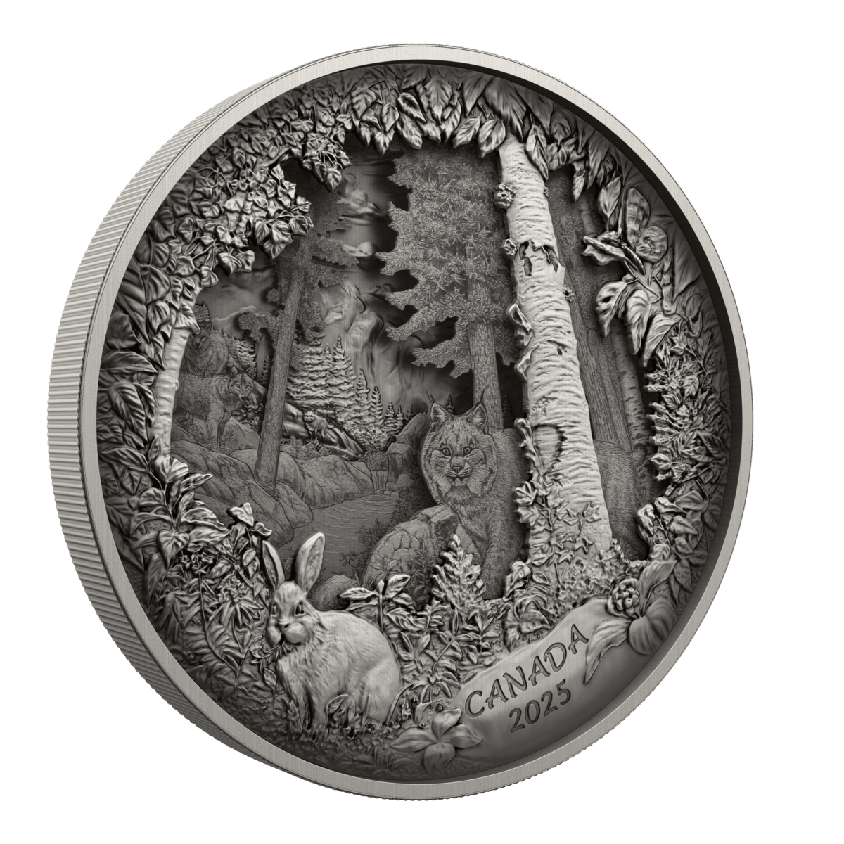 2025 $175 Predator or Prey In Shadow Box - Pure Silver Coin