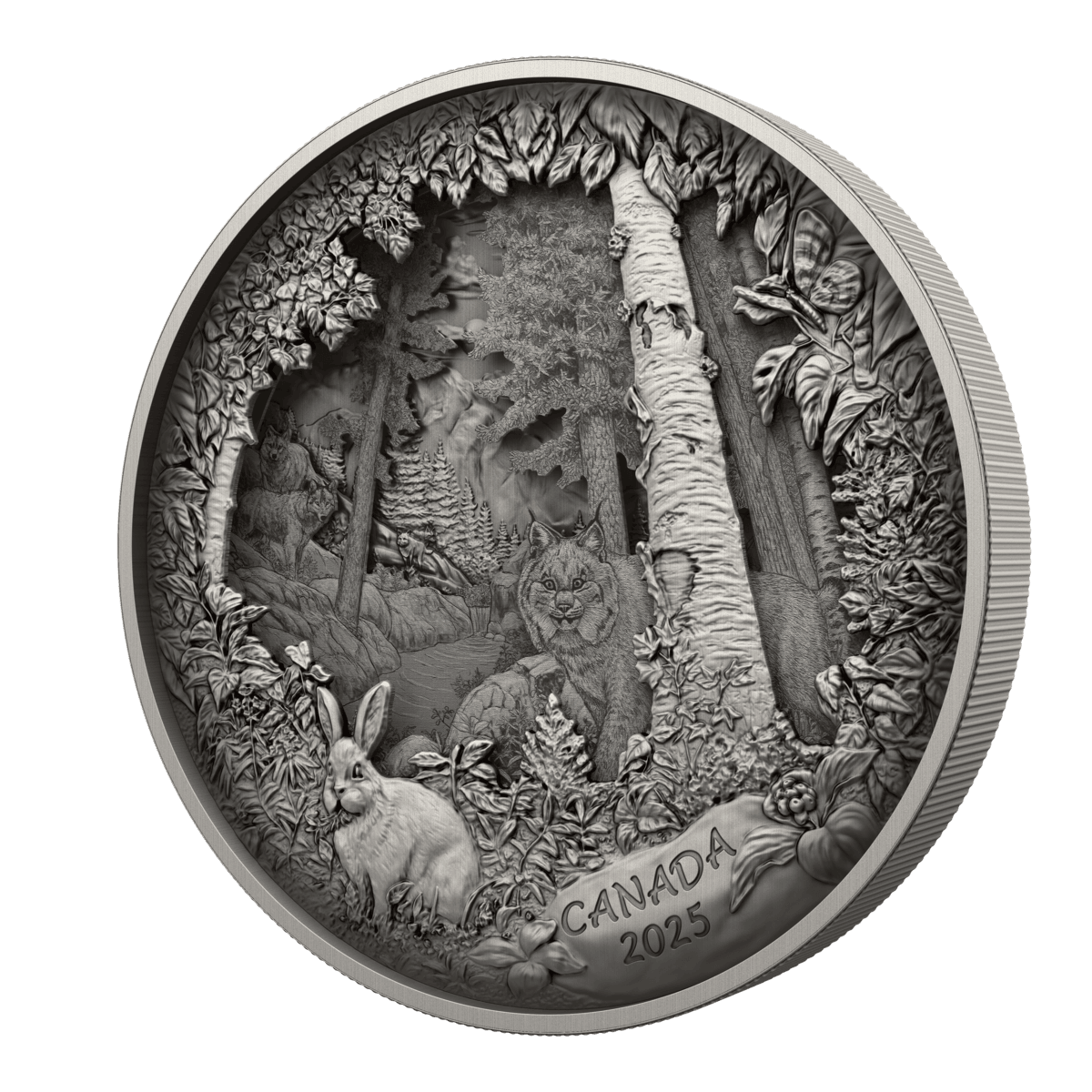 2025 $175 Predator or Prey In Shadow Box - Pure Silver Coin