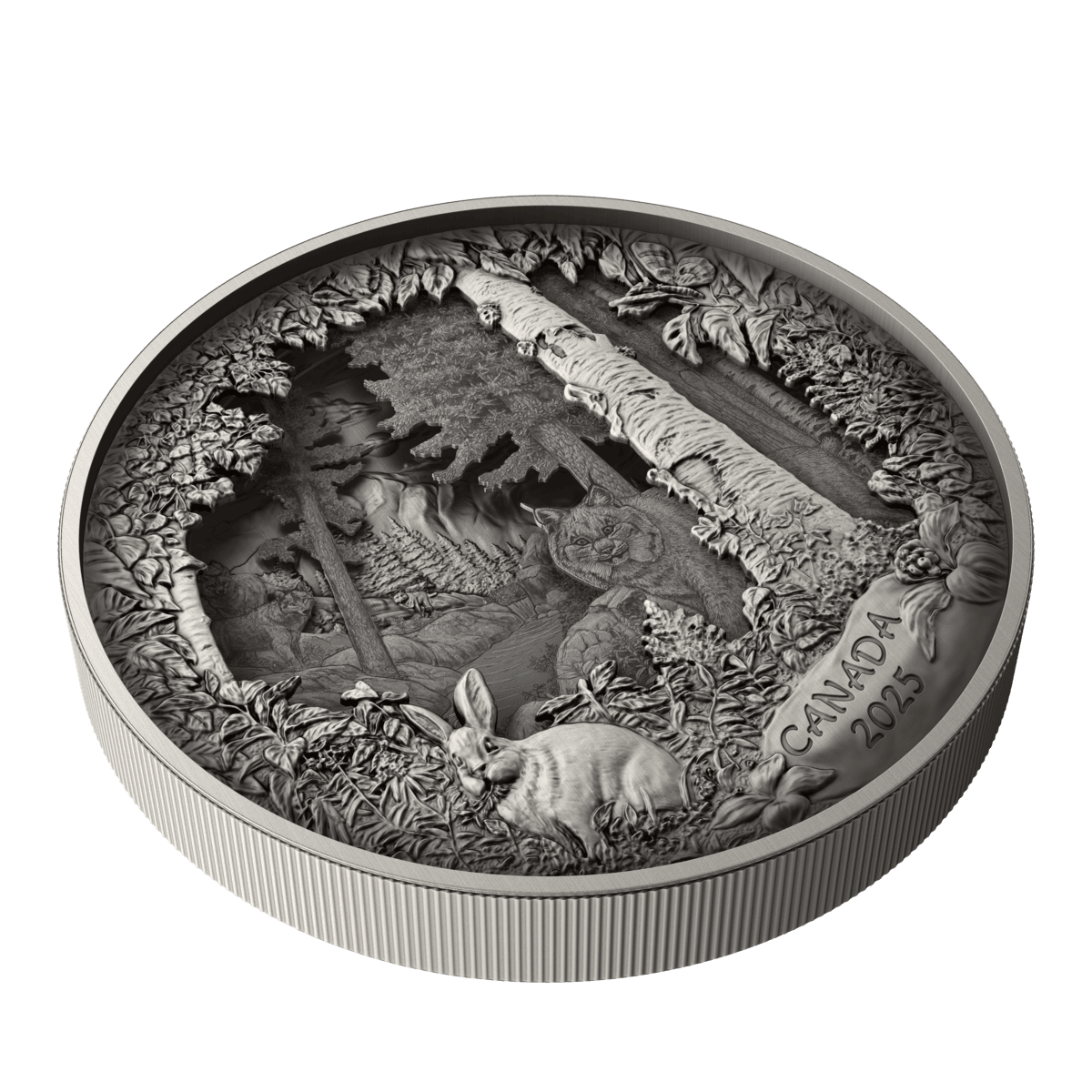 2025 $175 Predator or Prey In Shadow Box - Pure Silver Coin