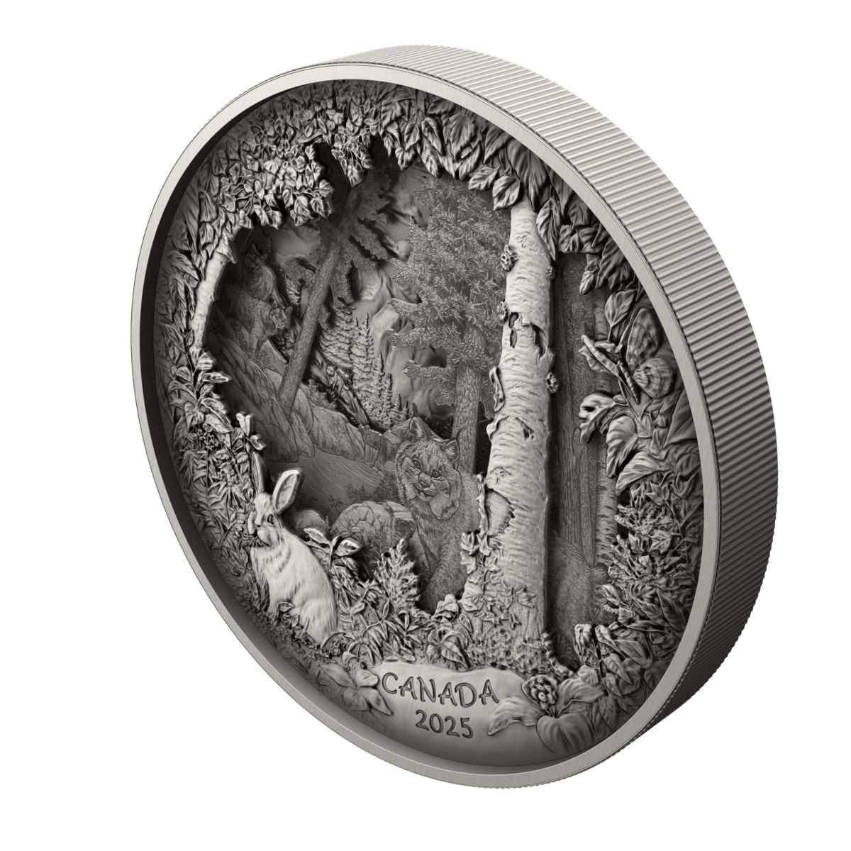 2025 $175 Predator or Prey In Shadow Box - Pure Silver Coin