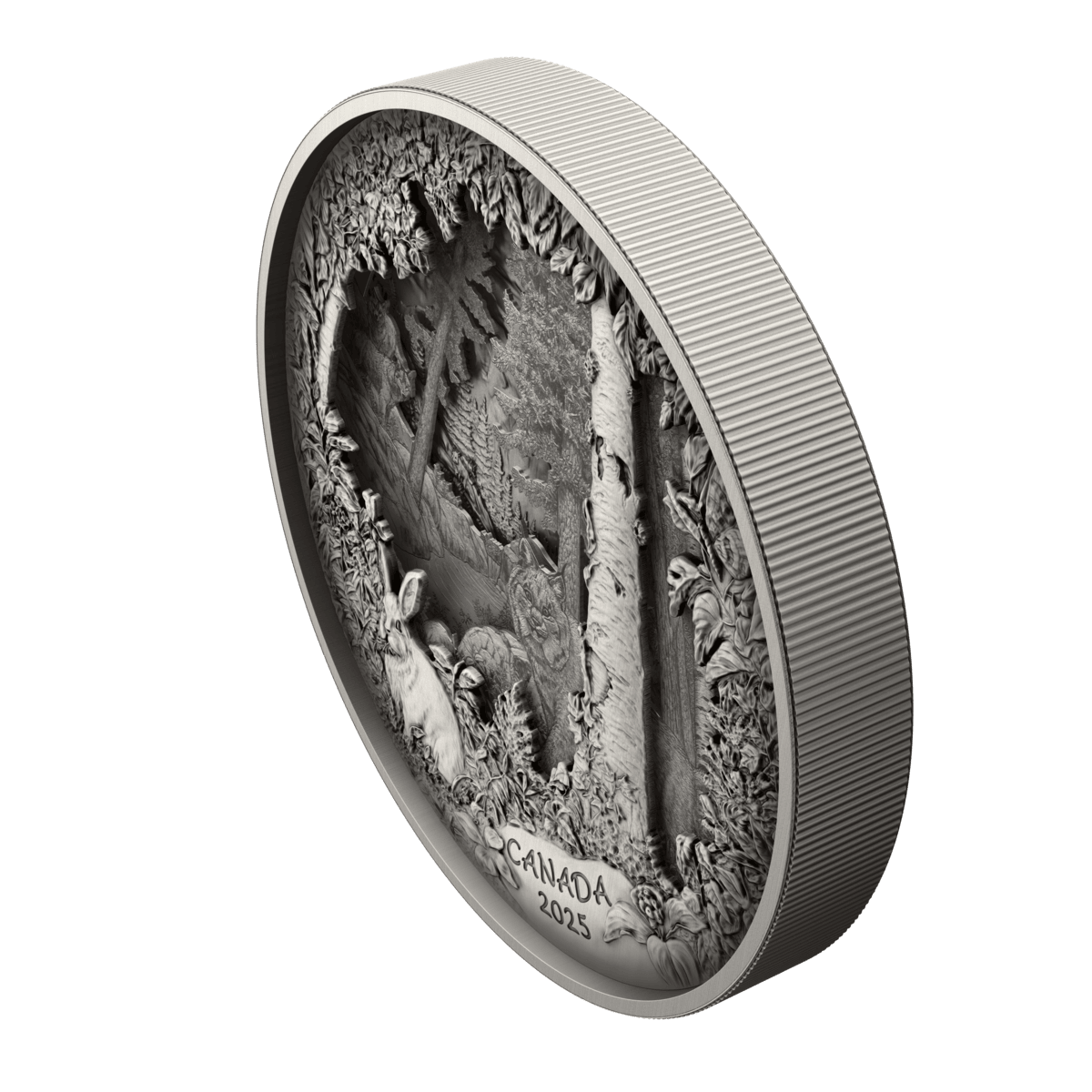 2025 $175 Predator or Prey In Shadow Box - Pure Silver Coin