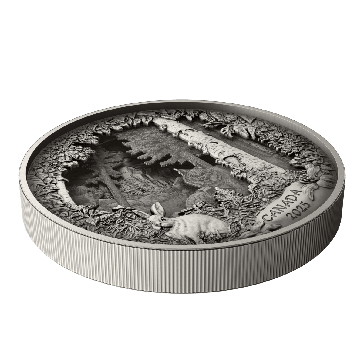 2025 $175 Predator or Prey In Shadow Box - Pure Silver Coin