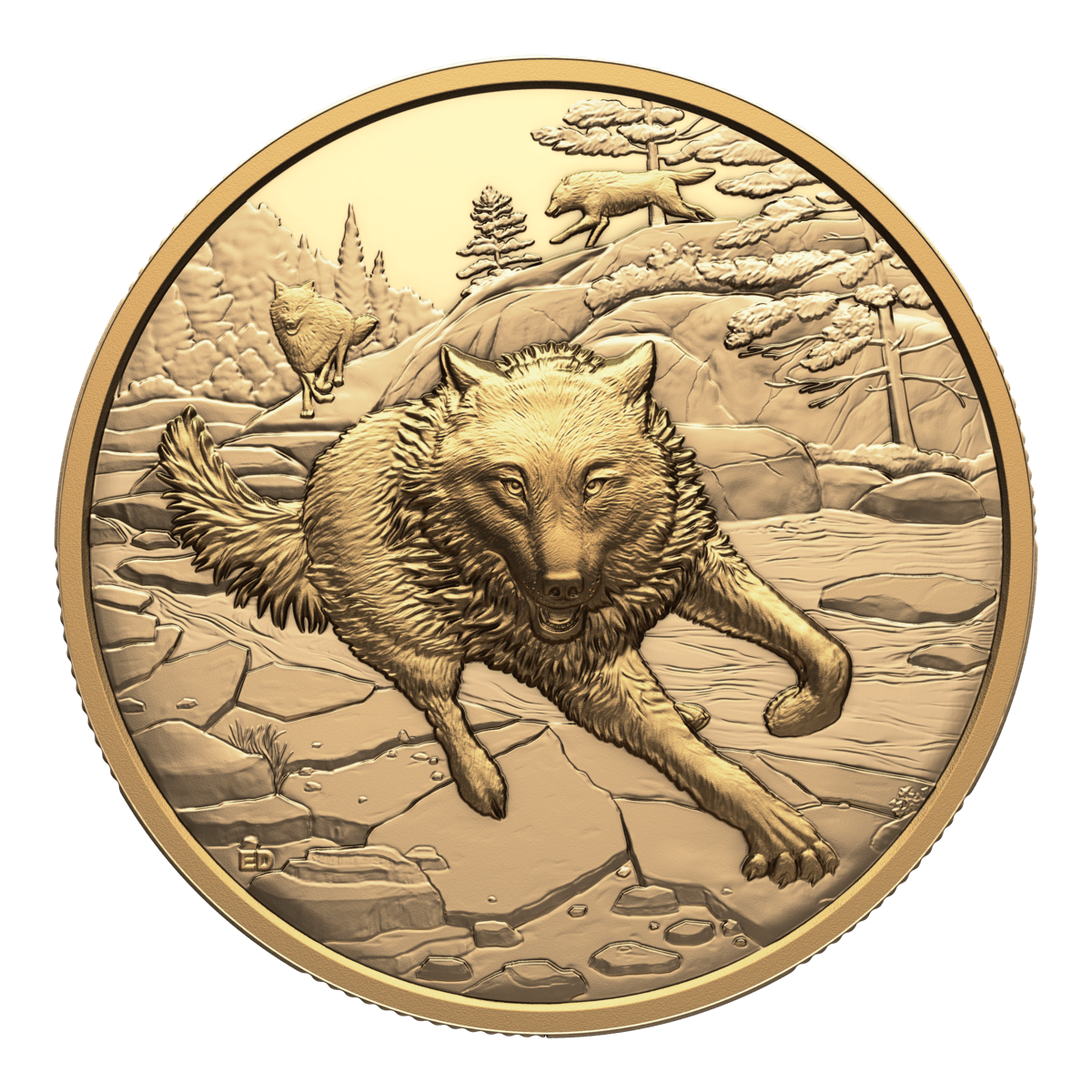 2025 $200 Great Hunters: Grey Wolf - Pure Gold Coin