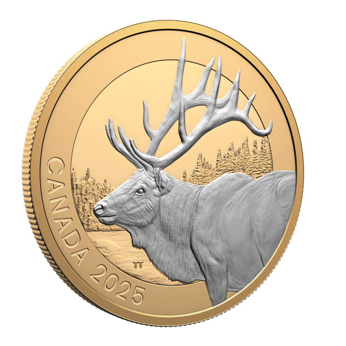 2025 $20 Animal Portraits: Elk - Pure Silver Coin