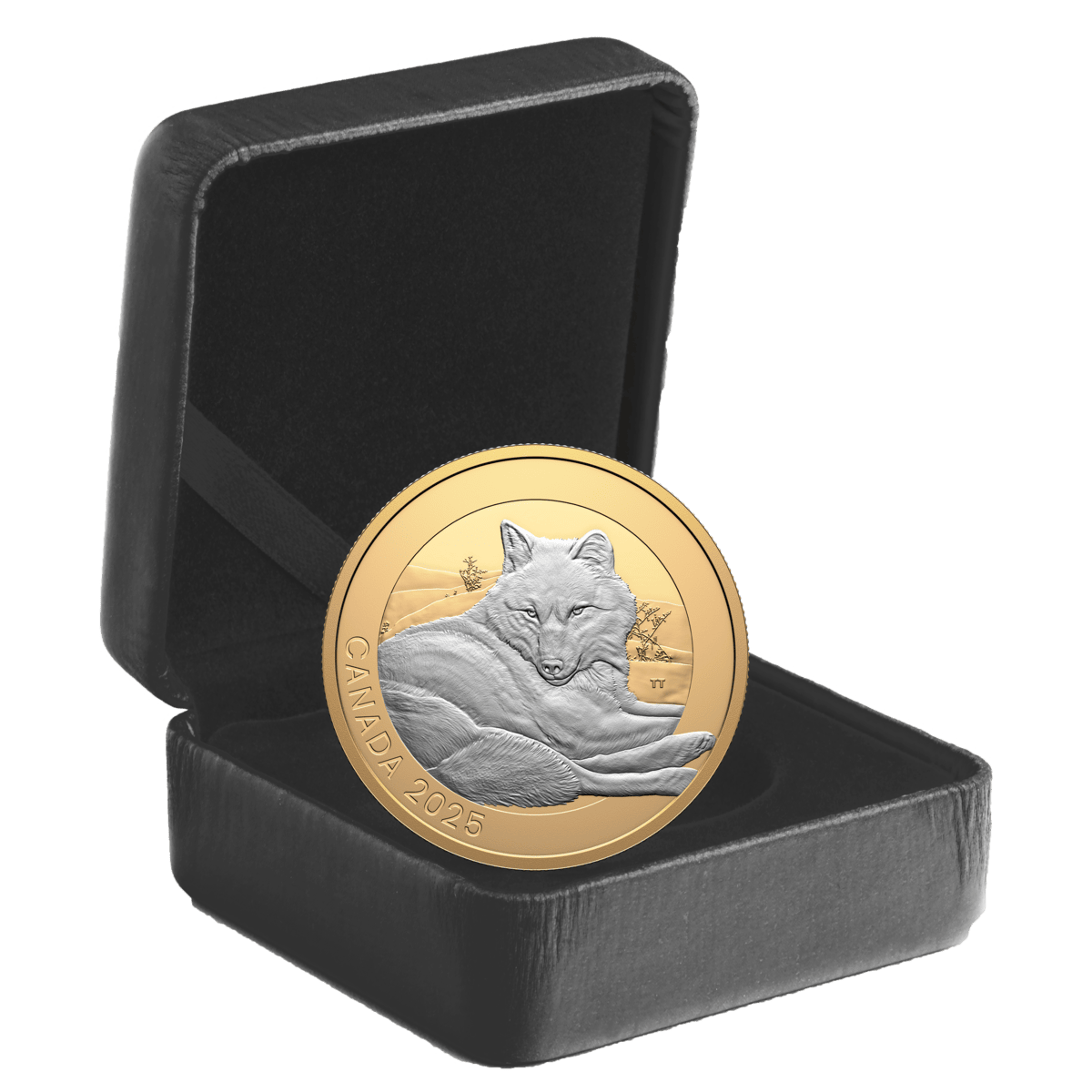 2025 $20 Animal Portraits: Grey Wolf - Pure Silver Coin