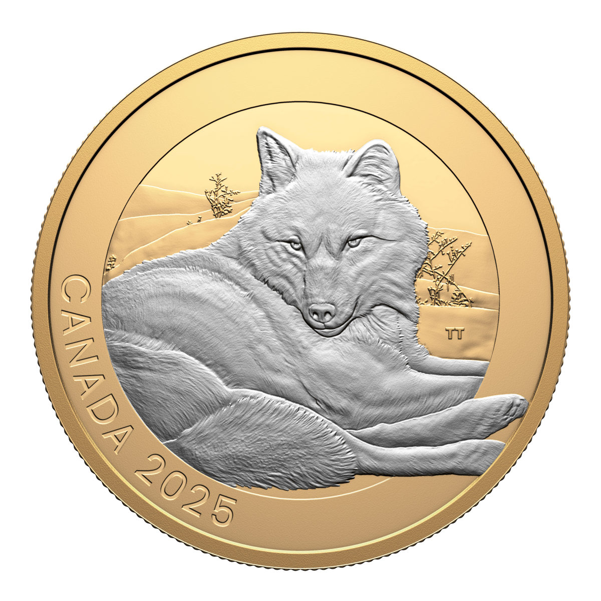 2025 $20 Animal Portraits: Grey Wolf - Pure Silver Coin