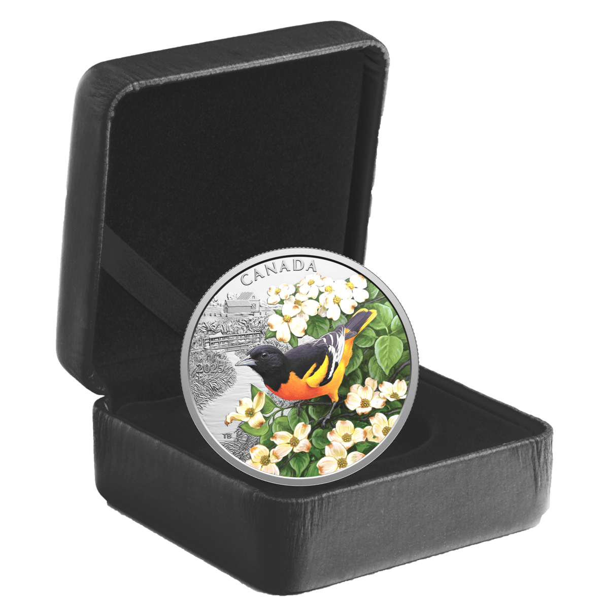 2025 $20 Colourful Birds: Baltimore Oriole - Pure Silver Coin