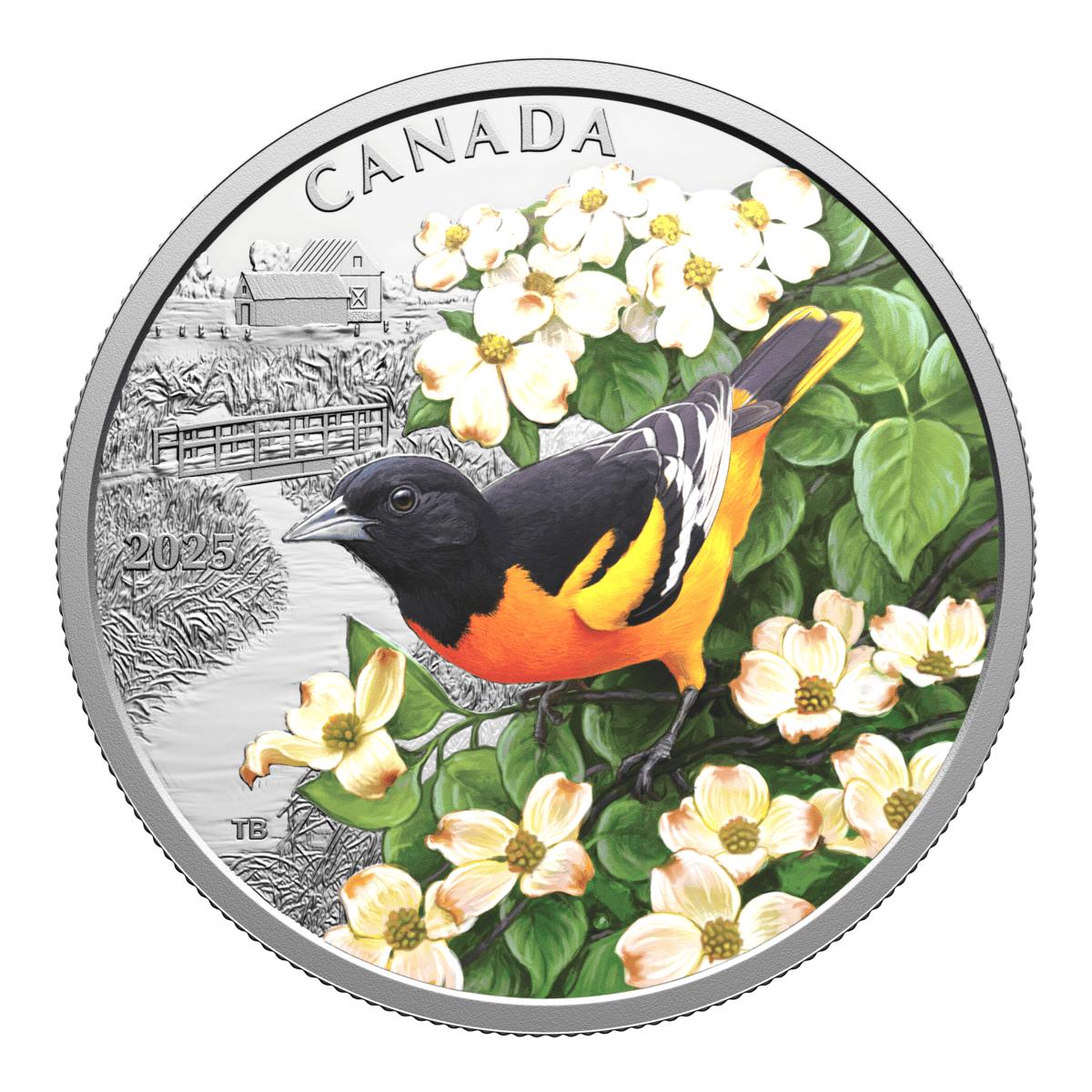 2025 $20 Colourful Birds: Baltimore Oriole - Pure Silver Coin