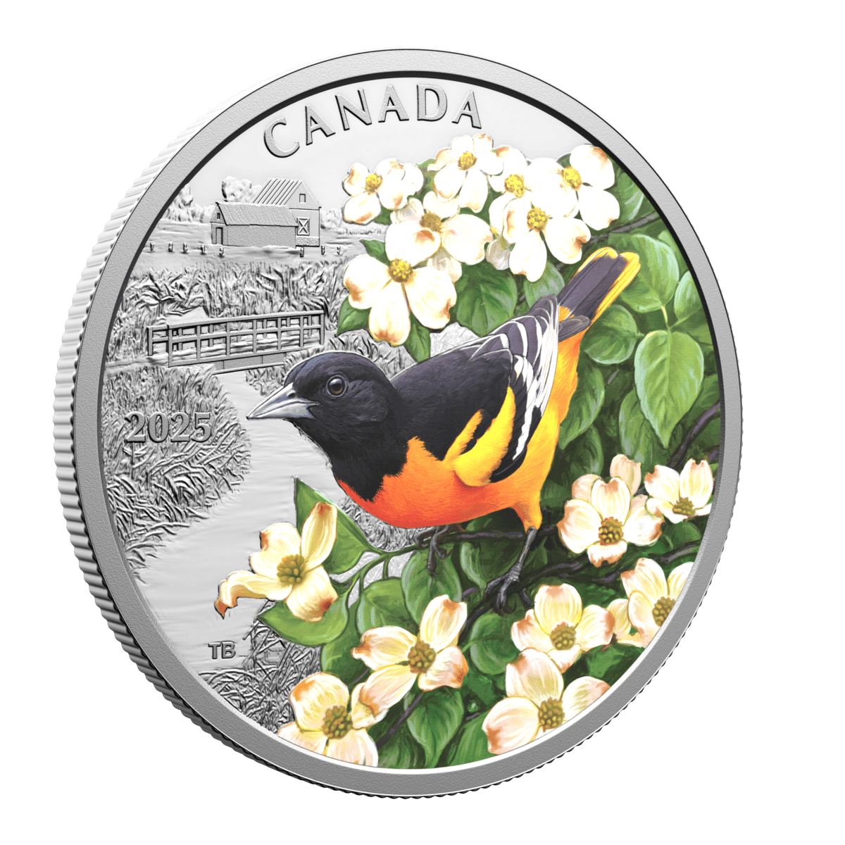 2025 $20 Colourful Birds: Baltimore Oriole - Pure Silver Coin