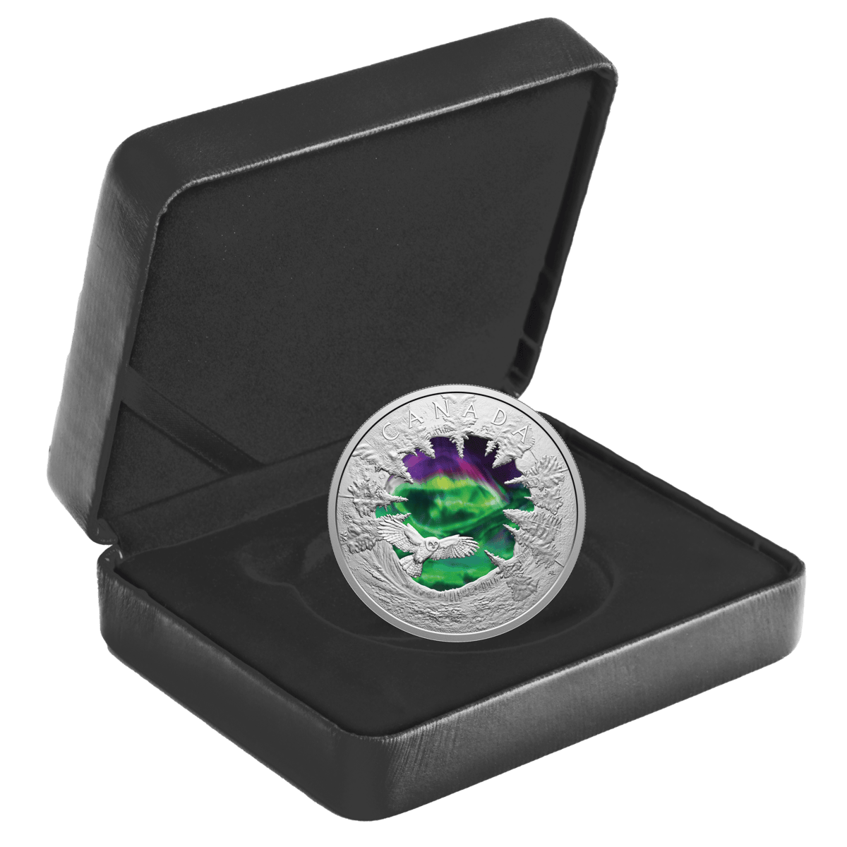 2025 $30 Magic of the Northern Lights - Pure Silver Coin with black light