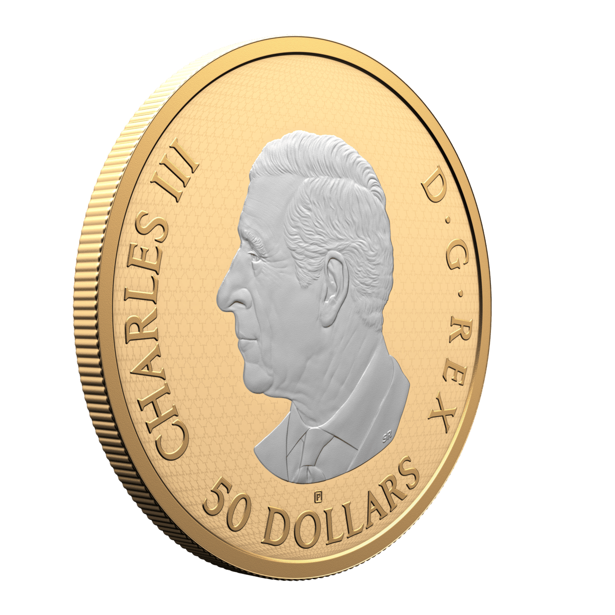 2025 $50 Maple Leaves in Motion - Pure Silver Coin