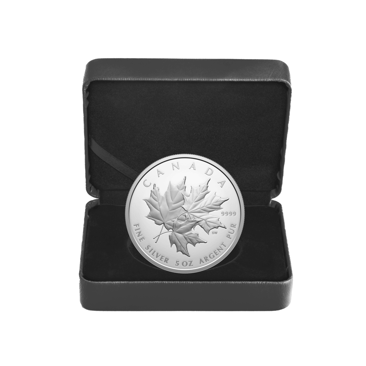 2025 $50 Triple Maple - Pure Silver Coin
