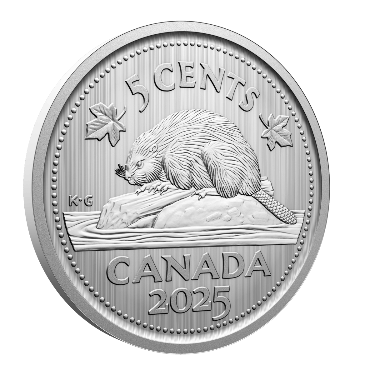 2025 Conservation Stories: Monarch Butterfly - Specimen Set