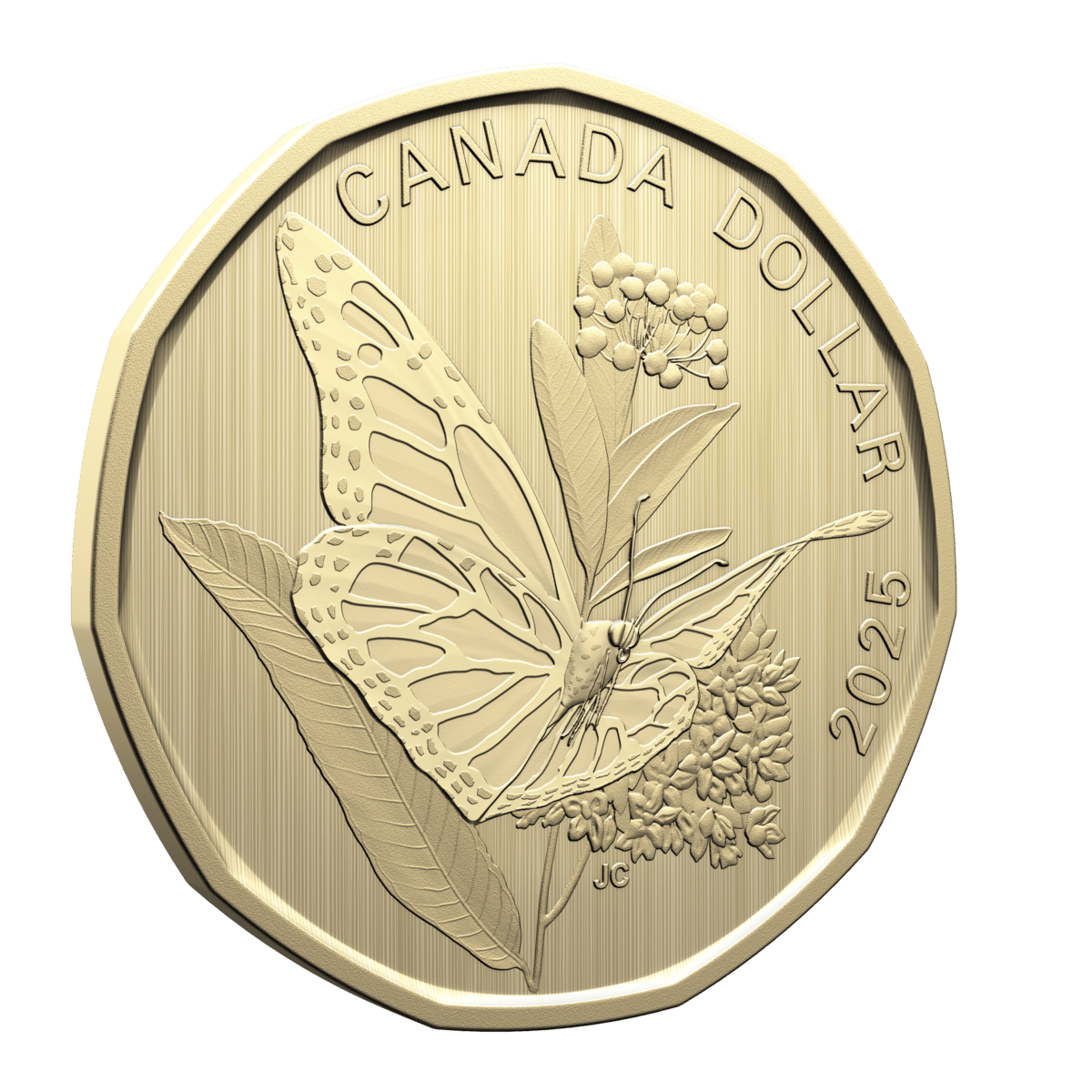 2025 Conservation Stories: Monarch Butterfly - Specimen Set