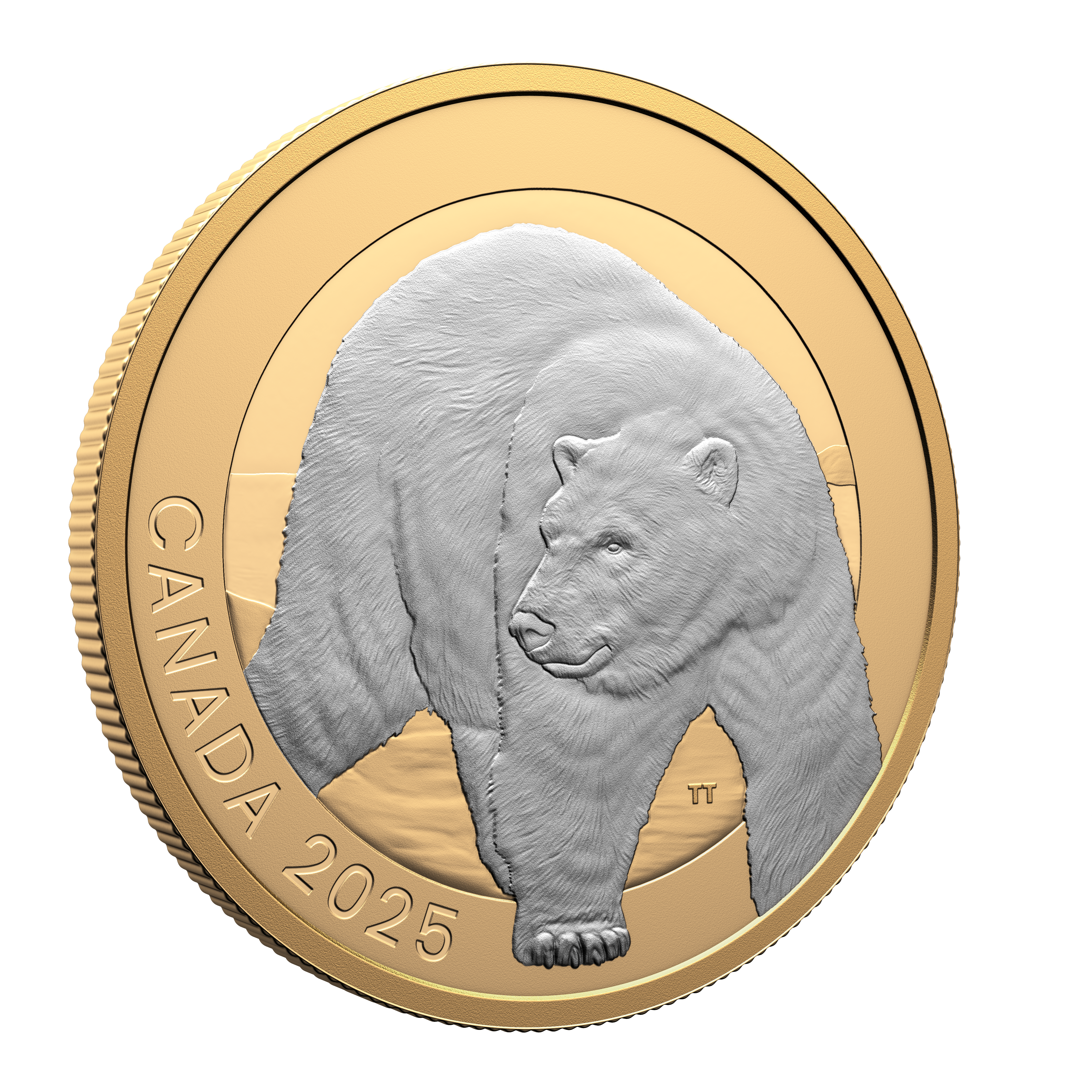 2025 $20 Animal Portraits: Polar Bear - Pure Silver Coin