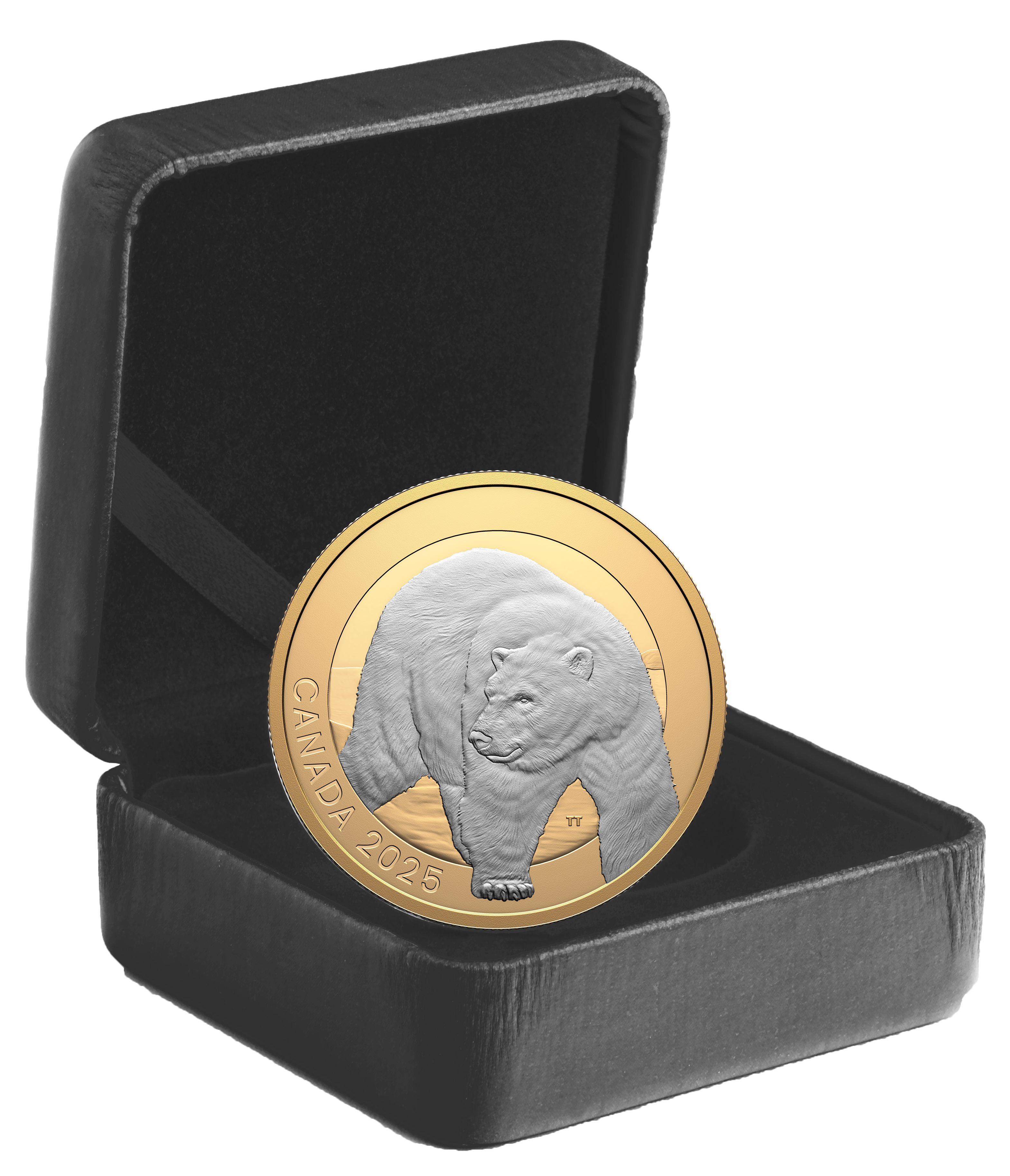 2025 $20 Animal Portraits: Polar Bear - Pure Silver Coin