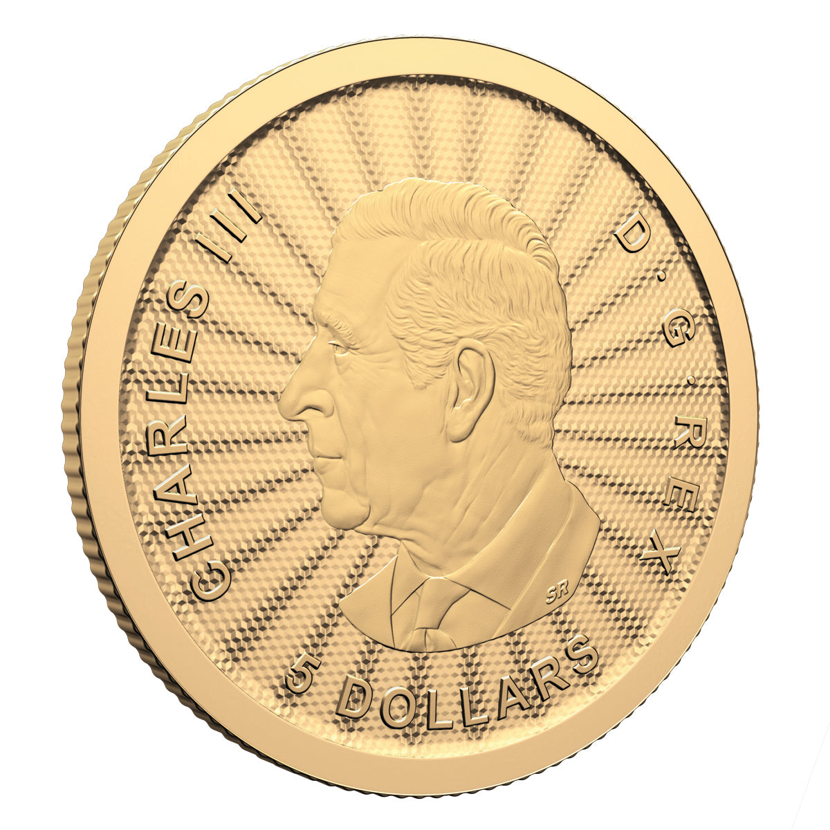 2025 $5 The Majestic Polar Bears - Pure Gold Coin