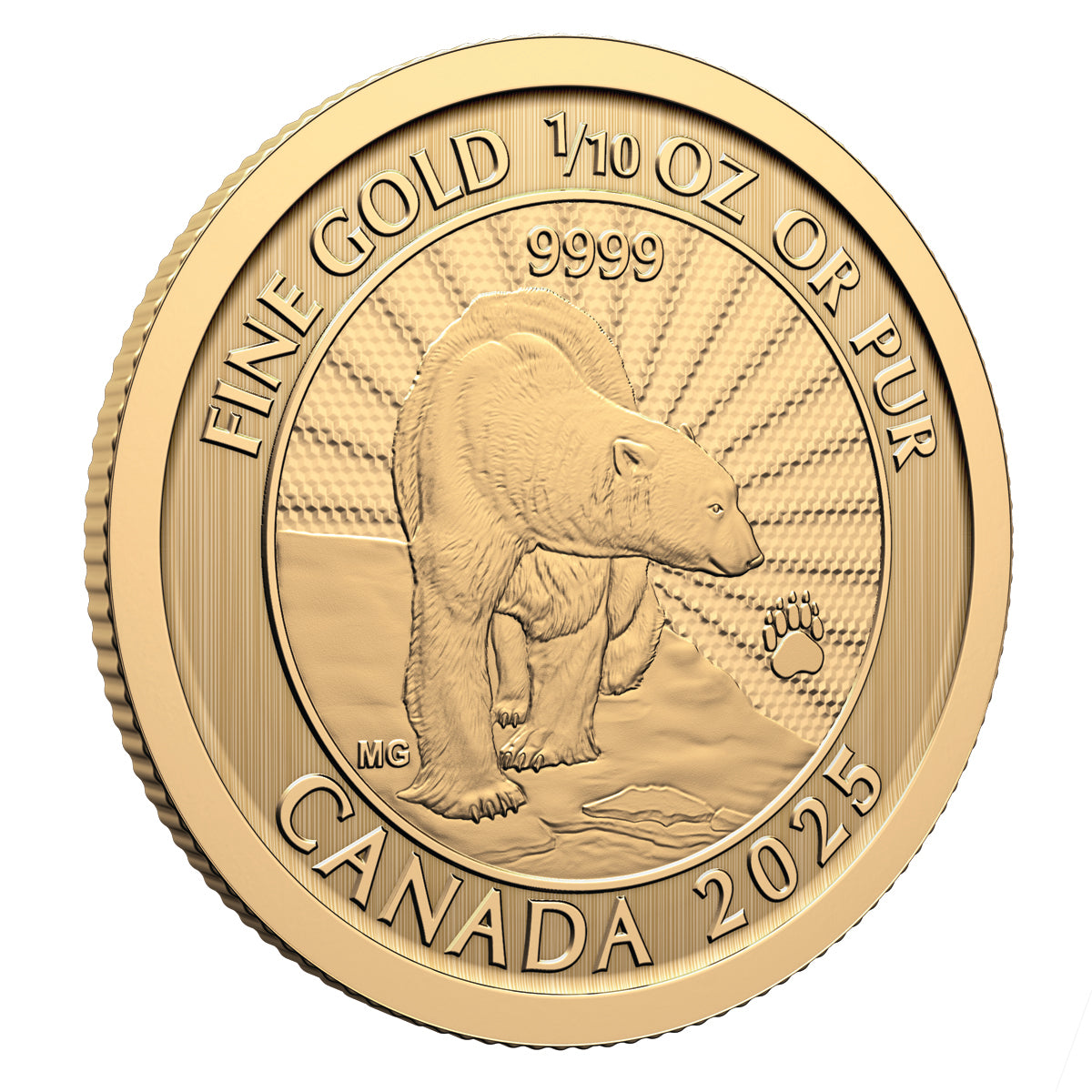 2025 $5 First Strikes: The Majestic Polar Bears - Pure Gold Coin