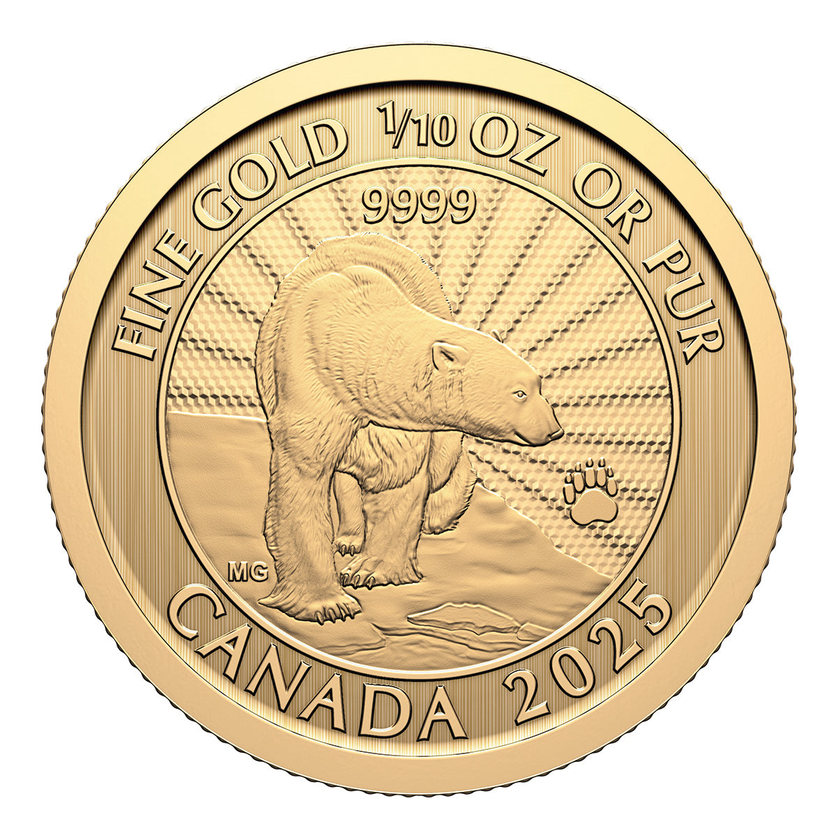 2025 $5 The Majestic Polar Bears - Pure Gold Coin