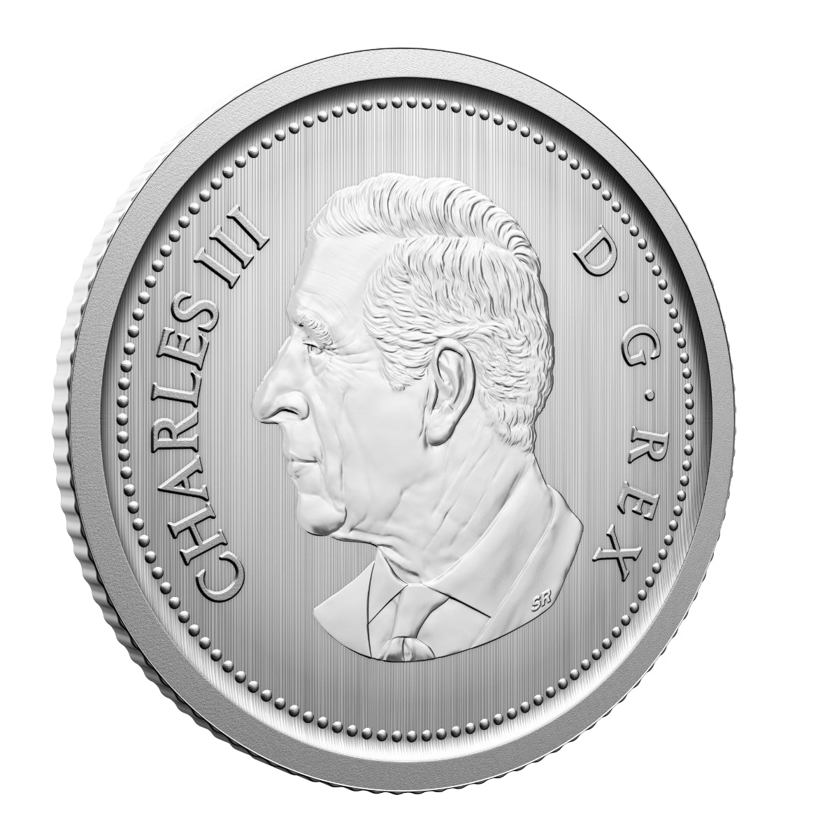 2026 Conservation Stories: Barn Owl - Specimen Set