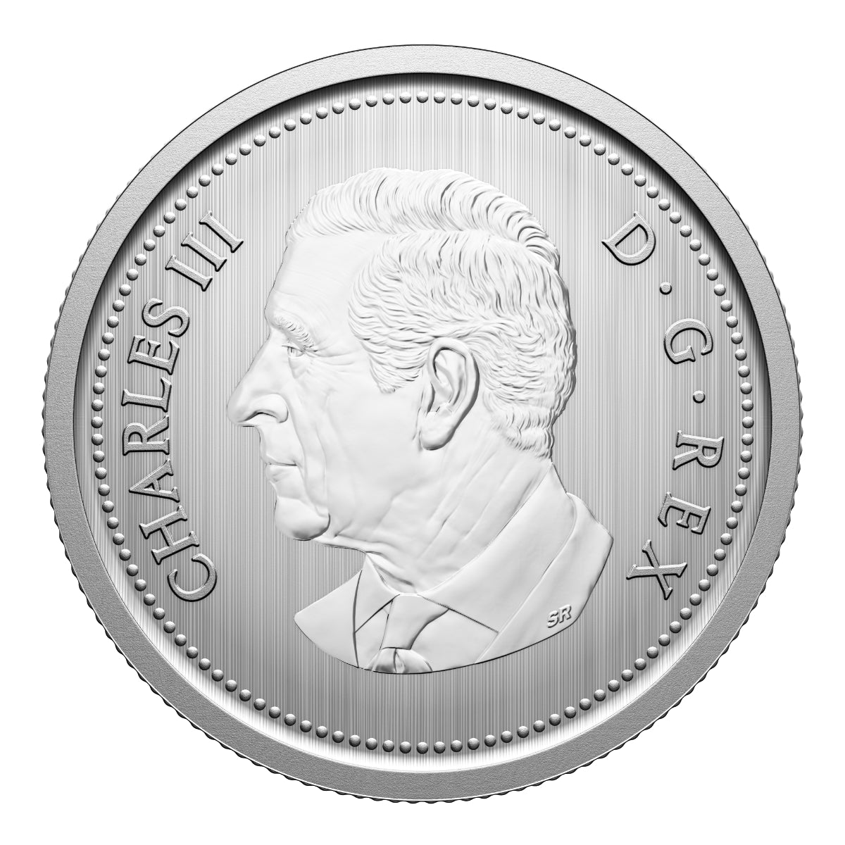 2026 Conservation Stories: Barn Owl - Specimen Set