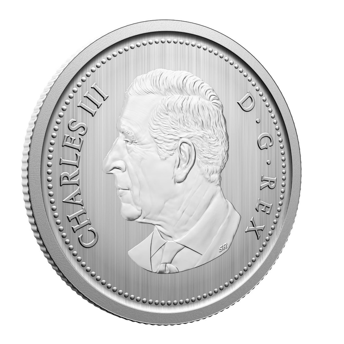 2026 Conservation Stories: Barn Owl - Specimen Set