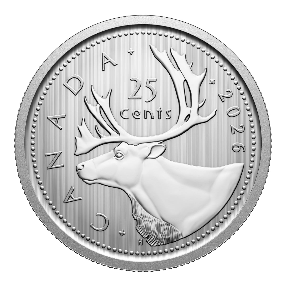 2026 Conservation Stories: Barn Owl - Specimen Set