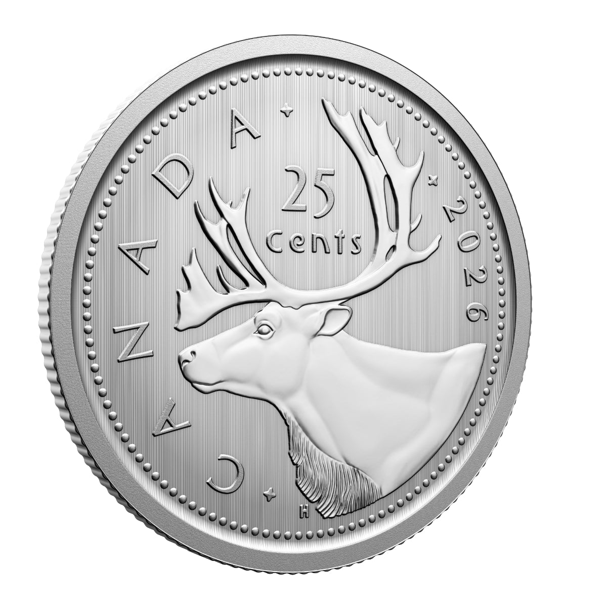 2026 Conservation Stories: Barn Owl - Specimen Set