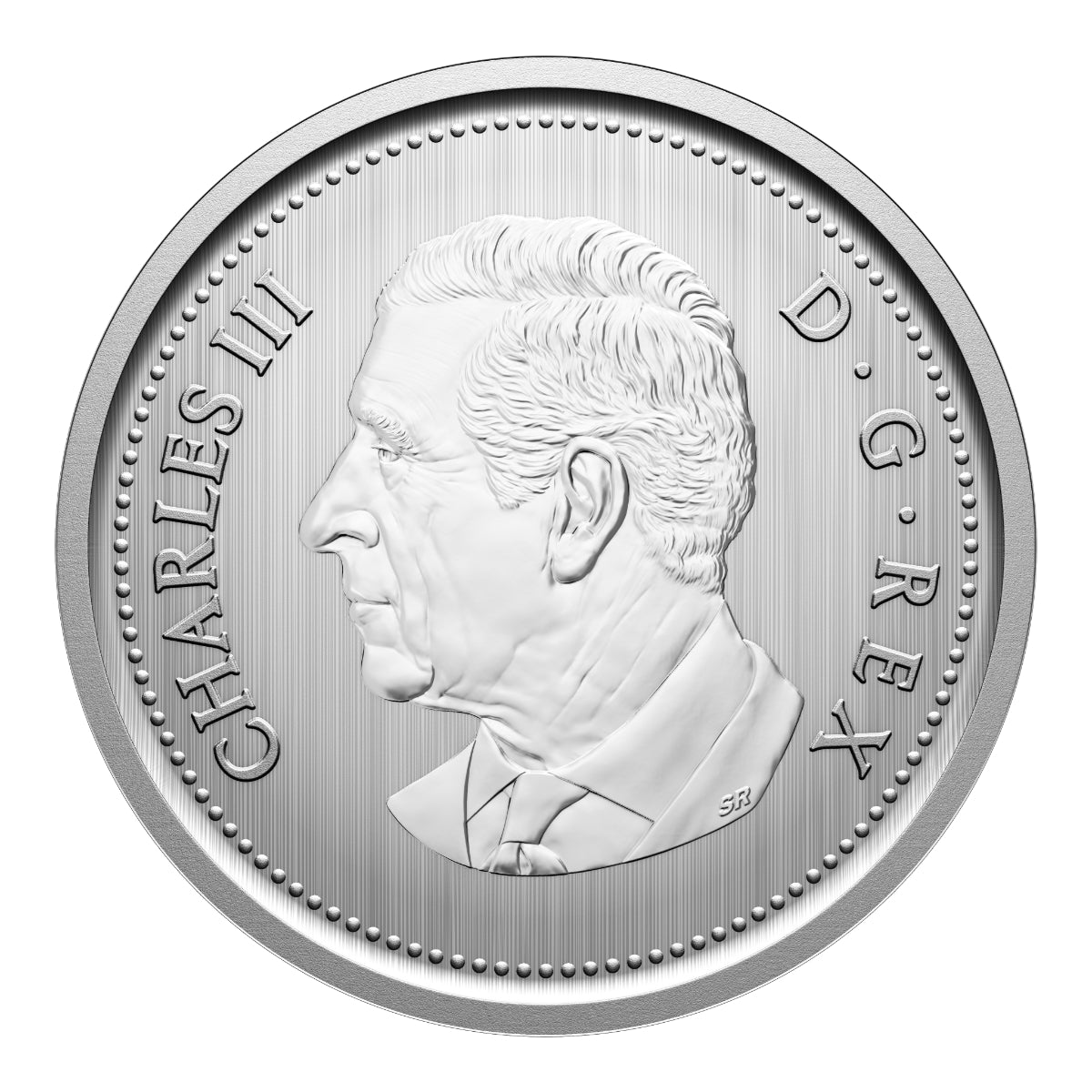 2026 Conservation Stories: Barn Owl - Specimen Set