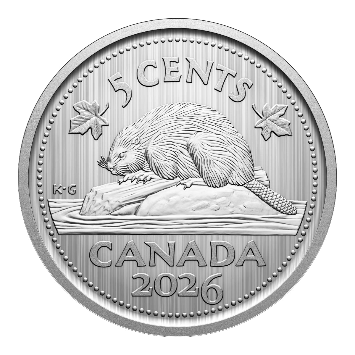 2026 Conservation Stories: Barn Owl - Specimen Set