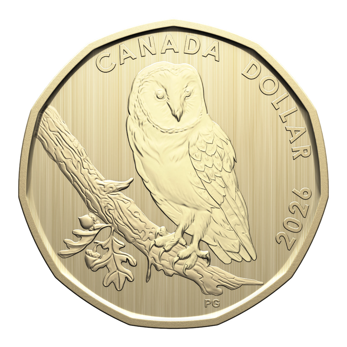 2026 Conservation Stories: Barn Owl - Specimen Set