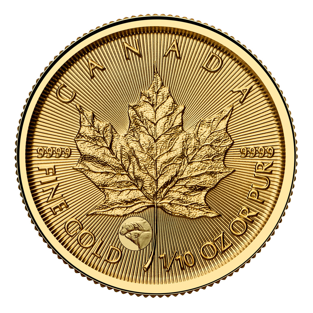 2025 $5 Treasured Maple Leaf GML: Polar Bears Privy Mark (Premium Bullion) - Pure Gold Coin