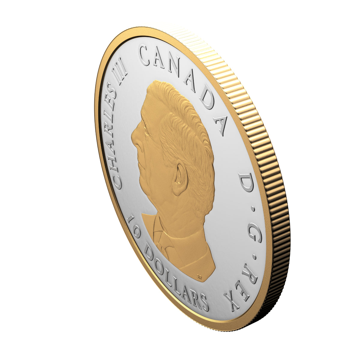 2025 $10 Tree of Life - Pure Silver Coin