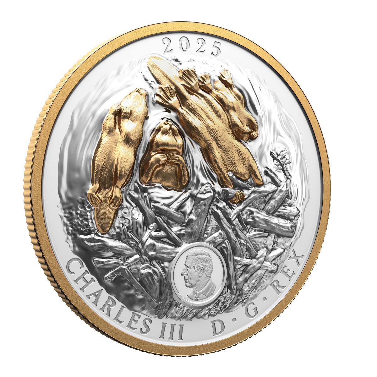 2025 $50 Canadian Symbol: The Beaver - Pure Silver Coin