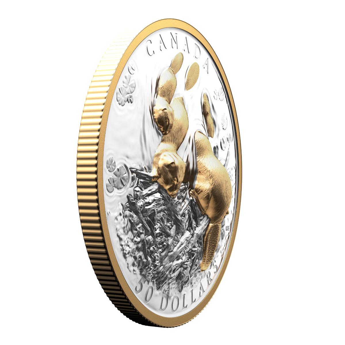 2025 $50 Canadian Symbol: The Beaver - Pure Silver Coin