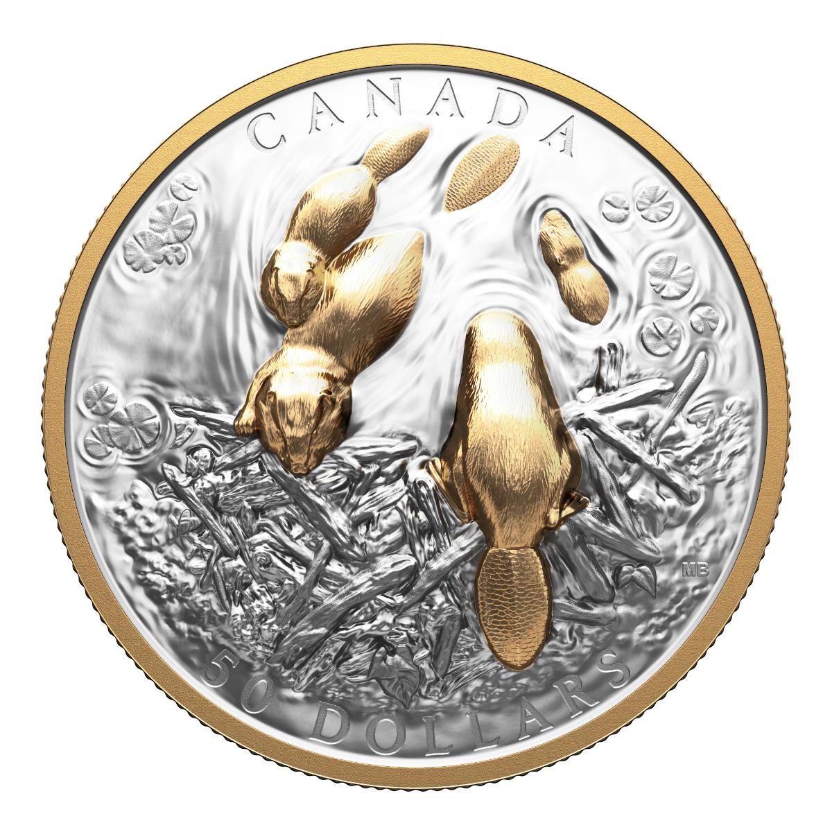 2025 $50 Canadian Symbol: The Beaver - Pure Silver Coin