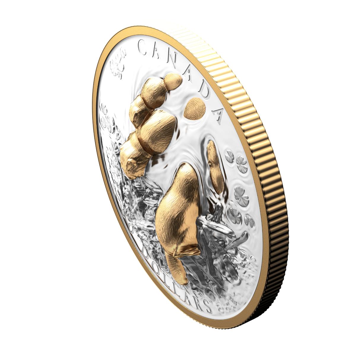 2025 $50 Canadian Symbol: The Beaver - Pure Silver Coin