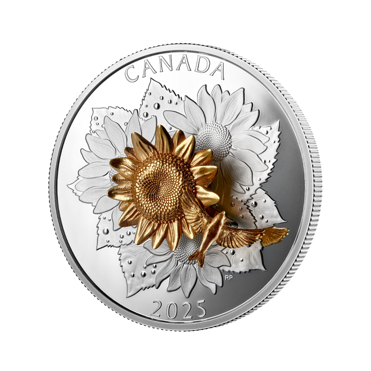 2025 $50 The Goldfinch and the Bloom - Pure Silver Coin