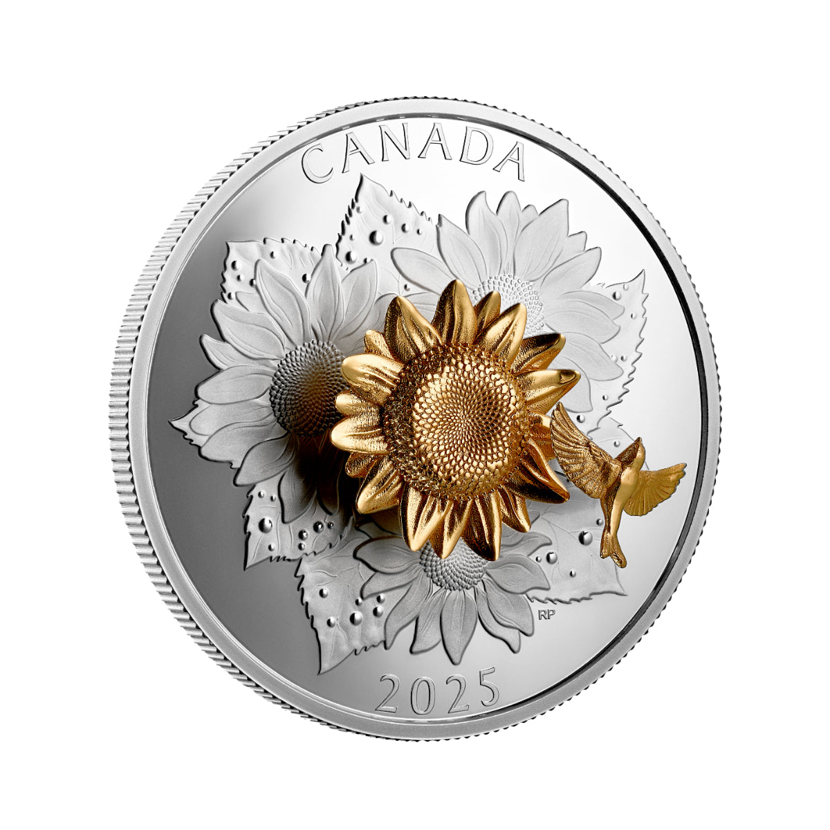 2025 $50 The Goldfinch and the Bloom - Pure Silver Coin
