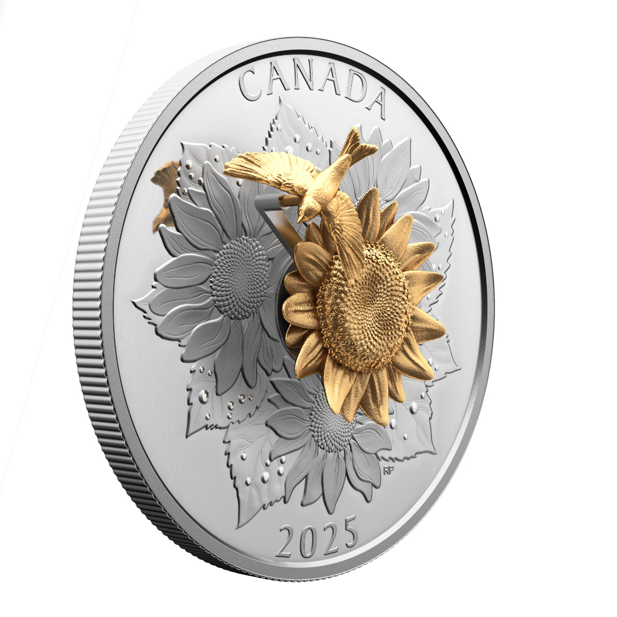 2025 $50 The Goldfinch and the Bloom - Pure Silver Coin