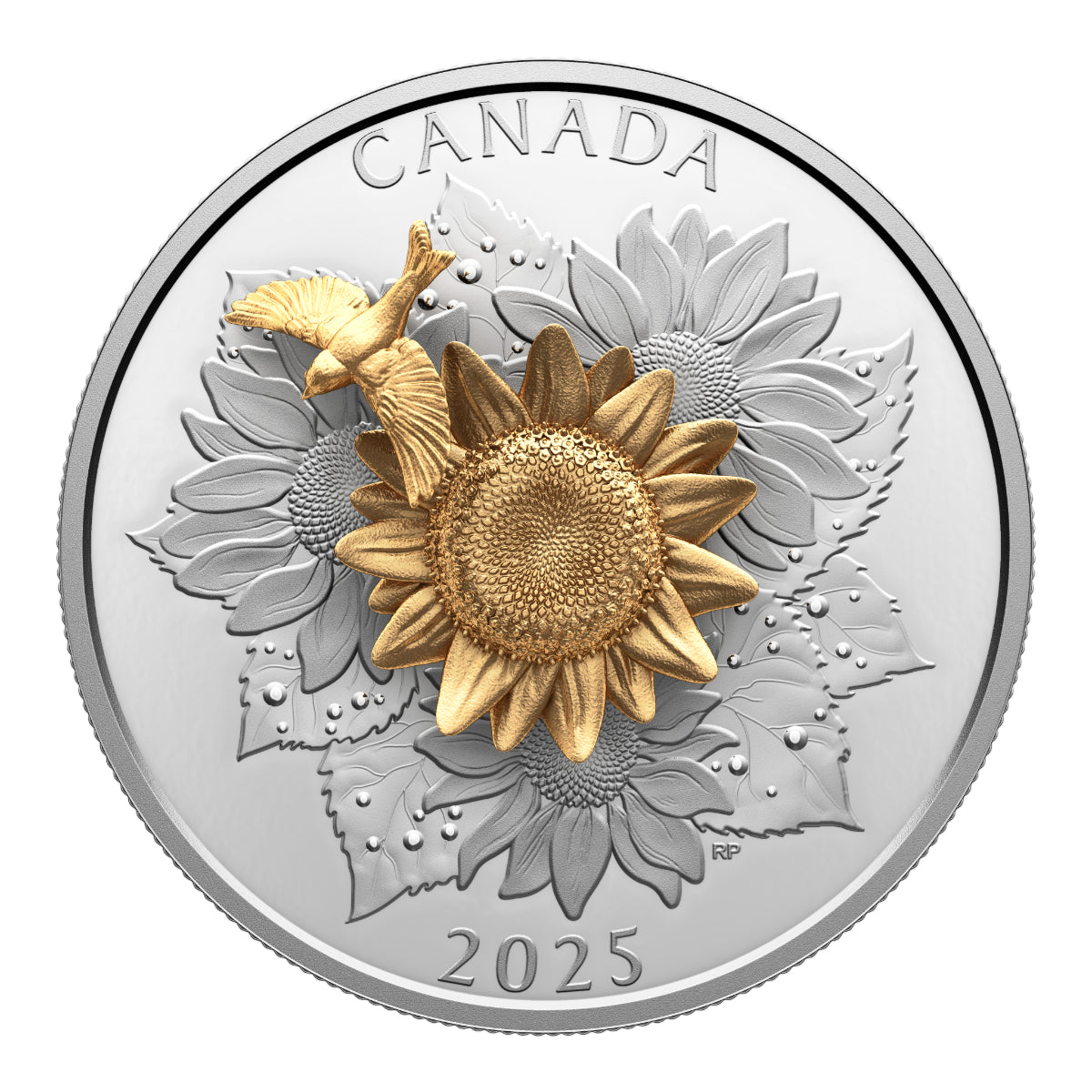 2025 $50 The Goldfinch and the Bloom - Pure Silver Coin