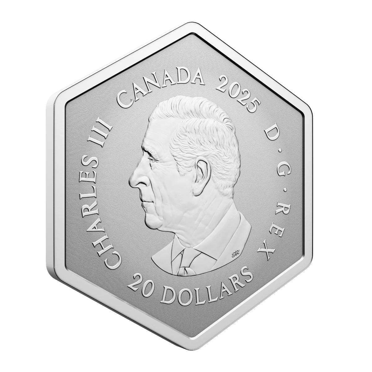 2025 $20 Snowflake - Pure Silver Coin