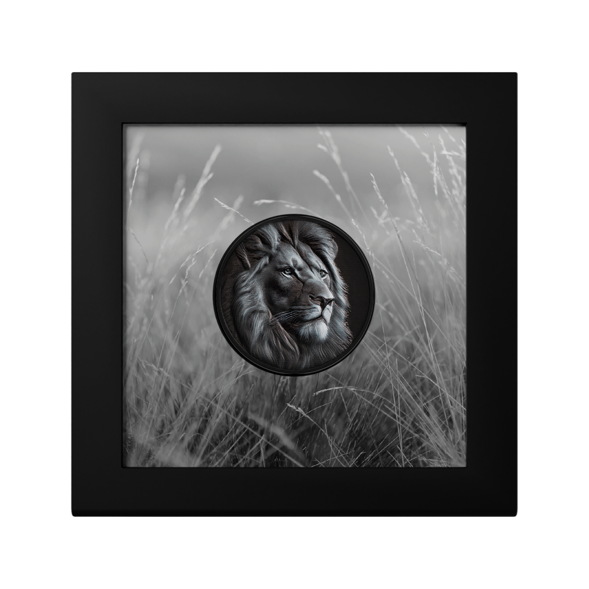 2026 $5 Black and White: Lion - Pure Silver Coin