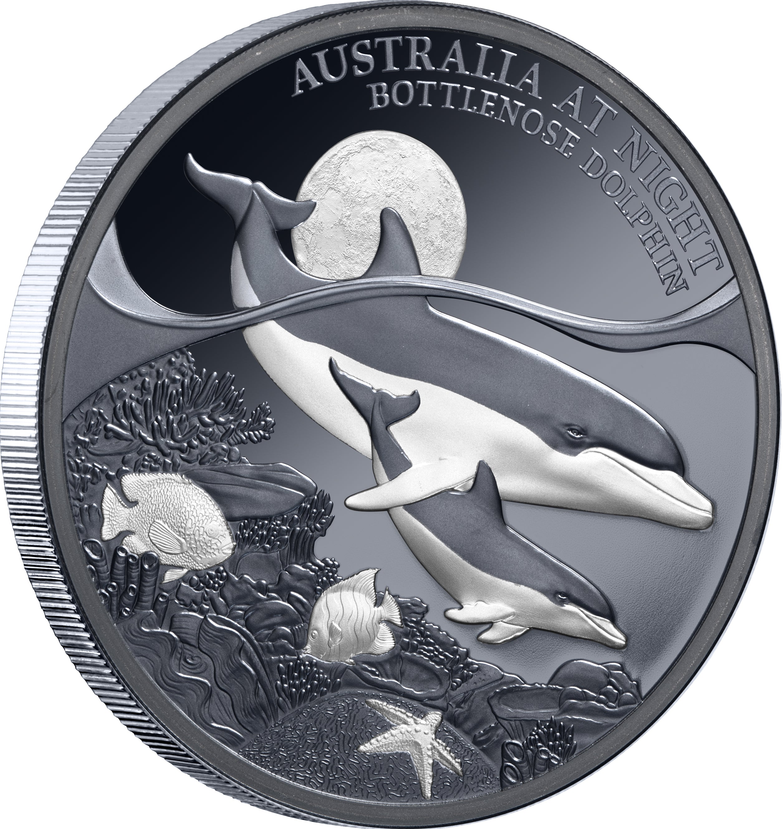 2025 $1 Australia at Night: Bottlenose Dolphins - Pure Silver Coin