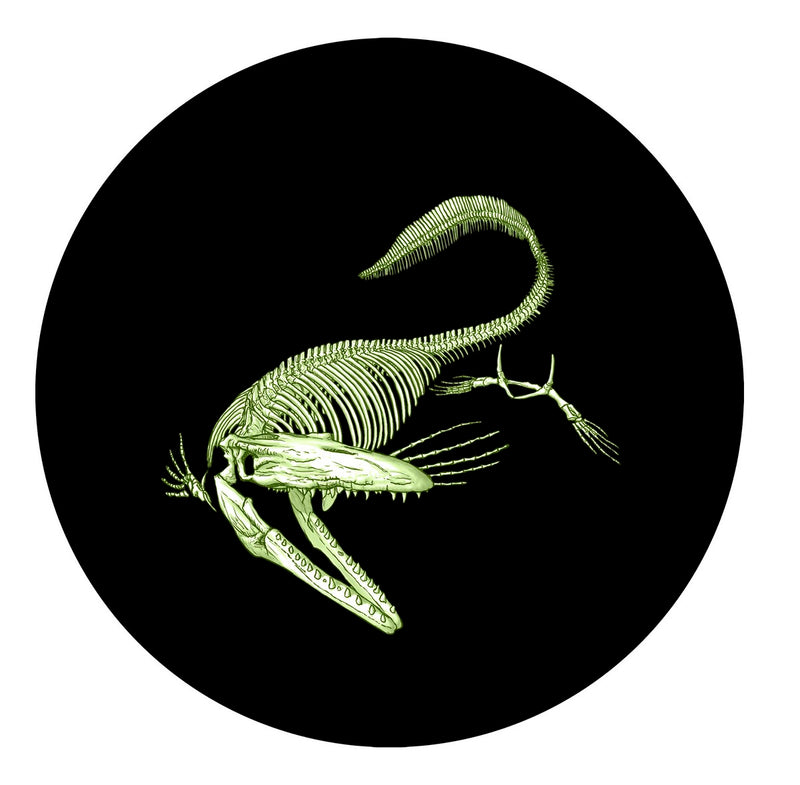 2013 25c Prehistoric Creatures: Tylosaurus Pembinensis - Glow-in-the-Dark Coloured Coin